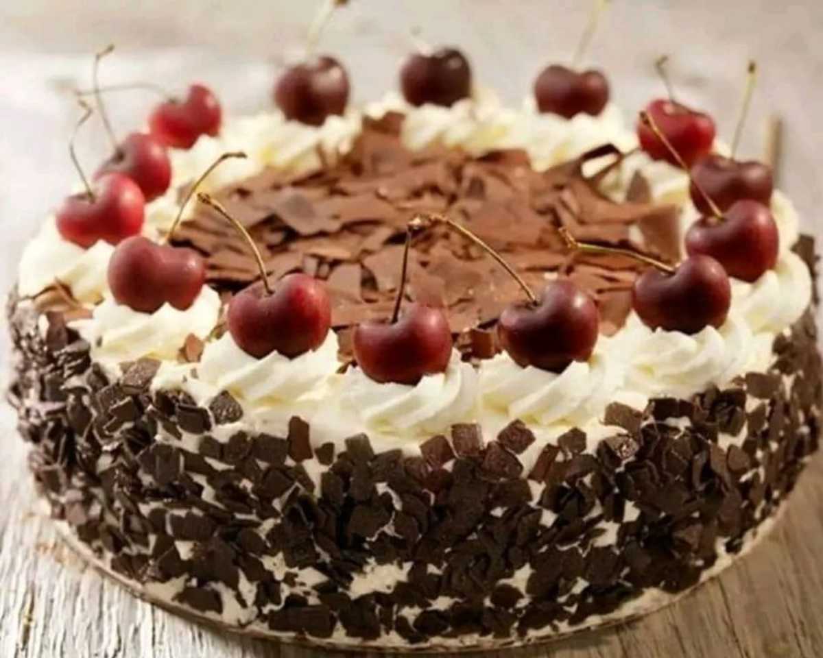 Chocolate Cake Delight