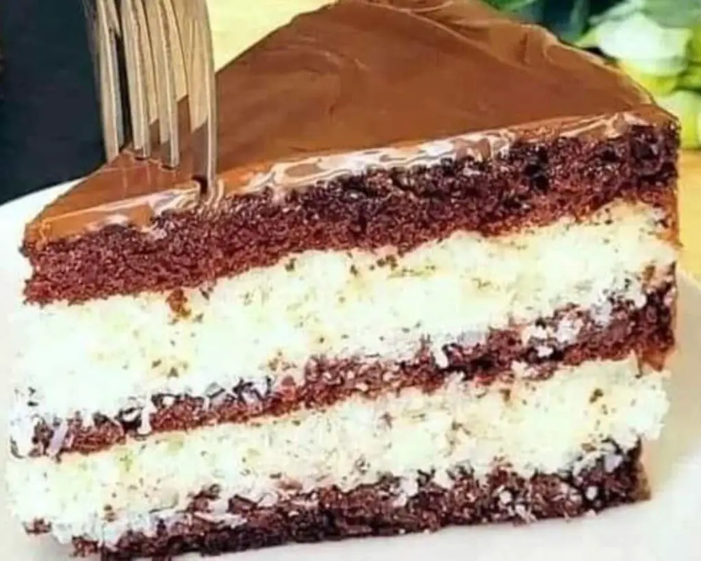 Coconut Chocolate Cake
