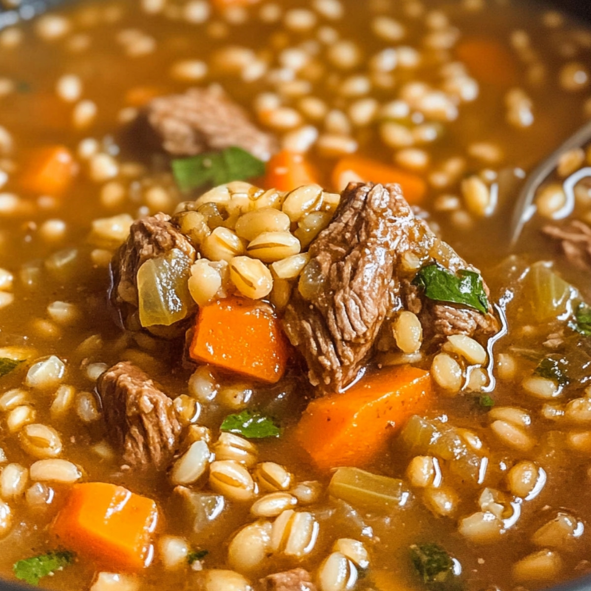 Beef Barley Soup