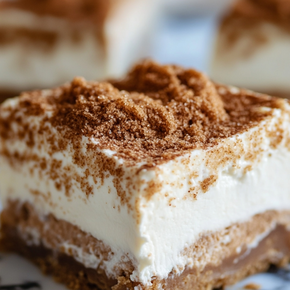 Snickerdoodle Cheesecake Delight